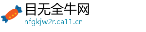 目无全牛网